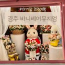 드림뮤지엄 | 실바니안 천국, 바니베어뮤지엄 솔직 후기 | 경주 아이랑 가볼 만한 곳