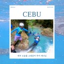 한번에 끝내는 역사 | 세부 오슬롭 고래상어 투어 캐녀닝까지! 한 번에 끝내는 꿀팁 후기 총정리