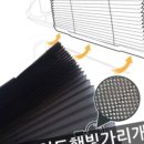 햇빛인테리어