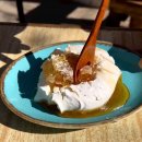 도토리(dotori) 이미지