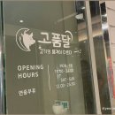 고품달 이미지