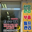 보현바른자세