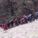 비봉농원 이미지