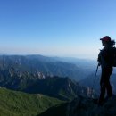 이랴이랴 이미지