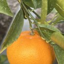 한라앤탐 이미지