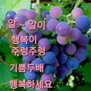 인생(人生)은 '가위 바위 보 이미지