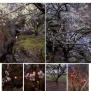 영포농장 이미지