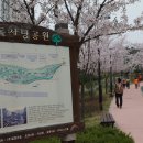 [4. 4 화요걷기] 개나리, 벚꽃 만나러 서울숲-남산숲길 천천히 걸어가기 이미지