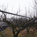 성근농장 이미지