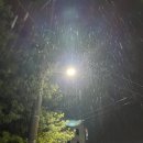 명성가왕솥뚜껑 | [경산] 고깃집 모음 소담숯불, 명성가왕솥뚜껑, 고기사랑꾼, 팔팔한돼지 feat. 달술