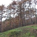 세종주유소 이미지