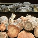 이로움 연 이미지