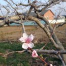 조양농원 이미지