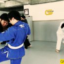 분당 건 주짓수 아카데미 / IBJJF 인증 도장 / 헨조 그레이시 사사 블랙벨트 사범 지도 / 주차 편리 / 죽전 주짓수 이미지