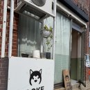 도캐도캐 이미지