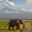 2016년 1월 ‘케냐, 탄자니아 사파리 여행 15일’ 예정입니다 이미지