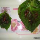 순이김치 이미지