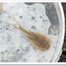 화석농장 이미지