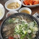 곰작골 나주곰탕 상암MBC몰점 | 꽃이 활짝 4월🍓(꾸디/ 상암 전주현대옥/ 지축 덕보갈비탕/ 상암 뎅뎅바/ 기흥 고매마루/ 기흥 호수앉기...