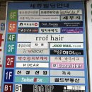 물오름달사진관 | 자연스러운 증명사진, 프로필사진 범계사진관 '물오름달 사진관' 촬영 후기