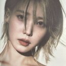 비비즈