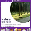 의료법인 광혜의료재단 이미지