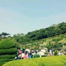 외도여행 이미지