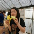 오장농장 이미지