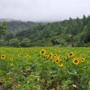 도자기 | 강원도 태백 가볼만한곳 태백 여행 전국 궁도대회 태백 연무정 국궁장 개최 요강
