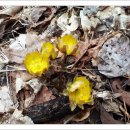 소양강둘레길 1코스 이미지