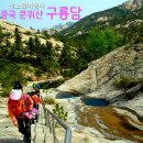 구룡 이미지