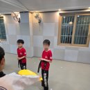 태양태권도장 이미지