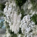 내수 상5호(비2호) | [공지] 서울 영등포 웨딩홀 더베르G 26년 대관료 식대 견적공유 뷔페