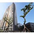 면목동-163 이미지