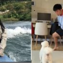 엣지 동행미디어 시대