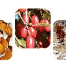 전동한의원 이미지