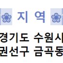 더뉴테라피 티스토리