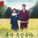 배우로 성공한 가수, 장나라 vs 아이유 선택은? 이미지