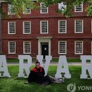 하버드