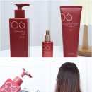 (주)아모스 | 아모스 신제품 안티에이징 라인, 리뉴 카멜리아 두피 홈케어 2주 후기
