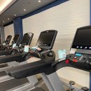 더베럴피트니스 부천시청점 | 부천시청헬스장 더베럴피트니스 헬스PT 부천시청점 운동후기!