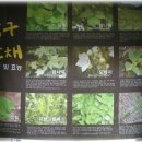 김원일농장 이미지