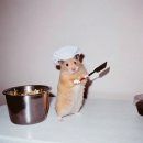 볶덮밥 | [공지] [포포감먹일지] 요린이 주간 저녁/욕심이 과하면 탈이 난다