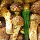 용두식당 이미지