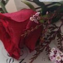 평생학습관 강좌로 팝송 영어 이미지