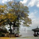 청화여관 이미지