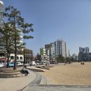 제일성수기