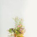 영남화분
