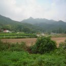 황방2리 티스토리