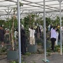 커피팜 - 포항시 남구 해동로 73-1 | 커피팜